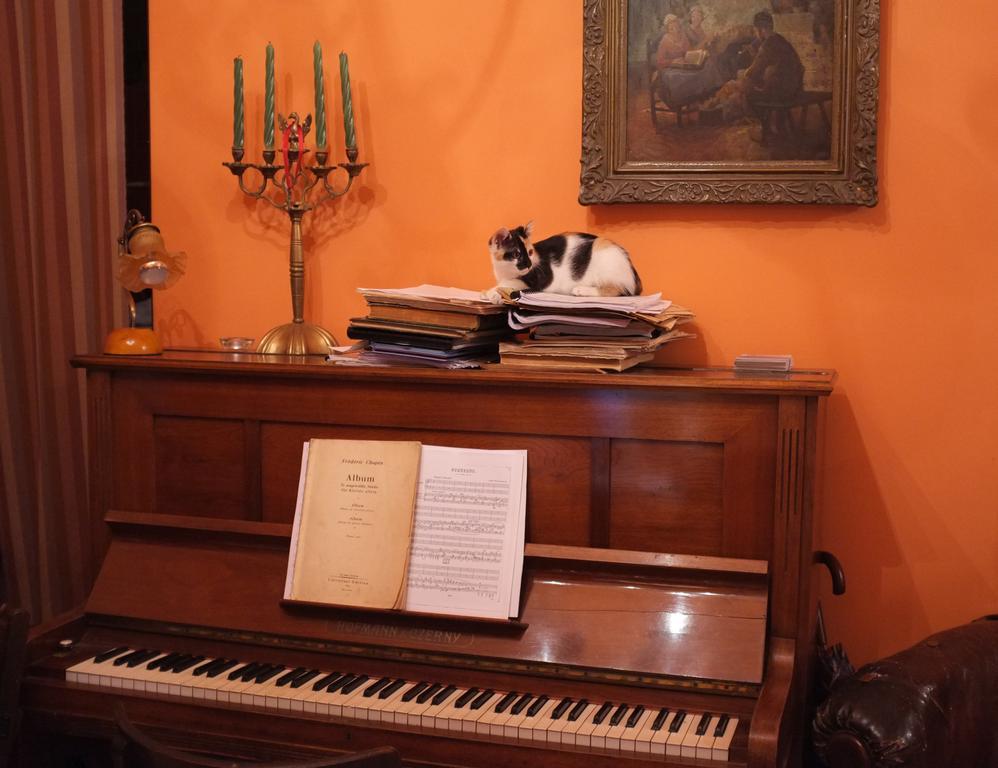 Piano Guest House 克拉科夫 外观 照片